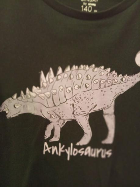 Dino mikina, sinsay,140