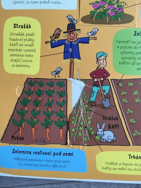 Kniha s odklápacími okienkami, 