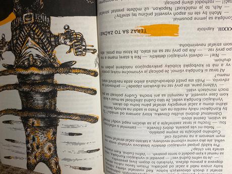 Päť prípadov detektíva konôpku janusz domagalik, 