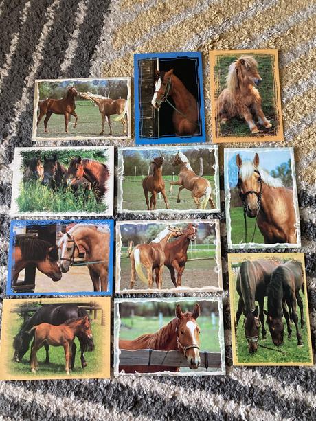 Pohľadnice koní nepopísané 11ks,