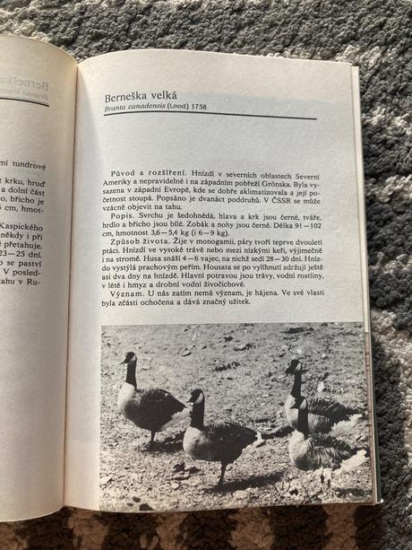 Atlas zvěře (1980),