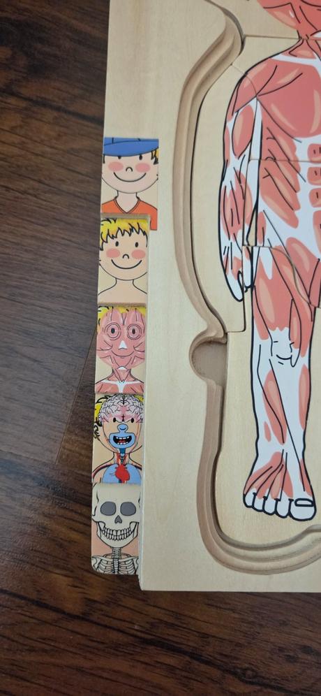 Drevená skladačka puzzle- ľudské telo,