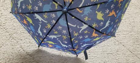 Dáždnik pepco,