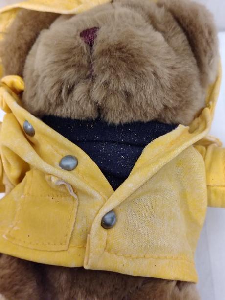 Zberateľ. sada 5ks medvedík the teddy bear collect, 