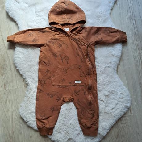 Overal newbie líšky, newbie,74