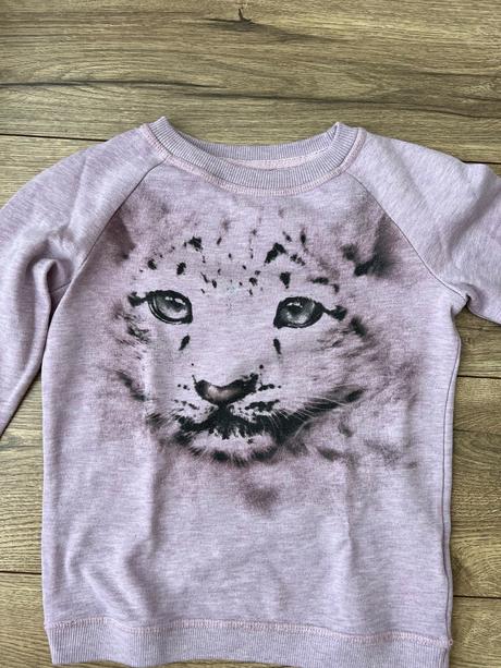 Mikinka s motívom, cena s poštou, 122