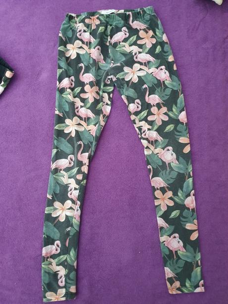 Dvojica legin s plameniakmi, reserved,164