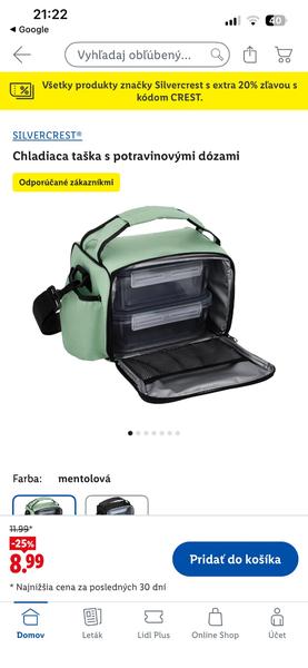 Ako prepravovať inzulín lietadlom v chlade?