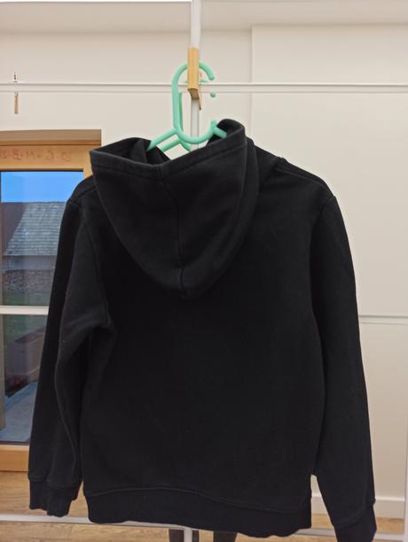 Mikina dinosaurus, h&m,122