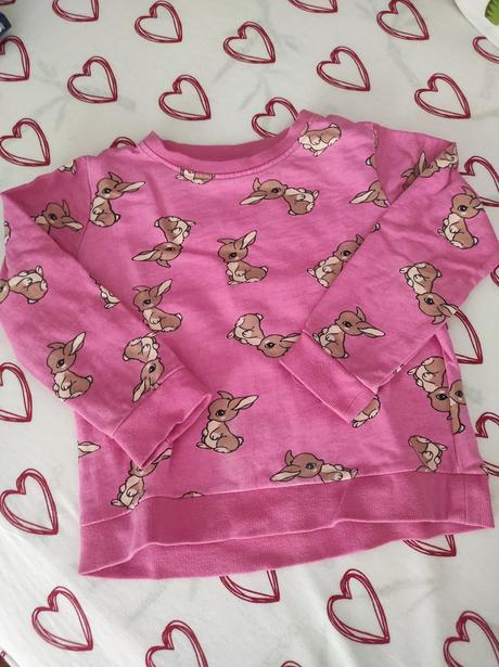 Mikina so zajačikom, gate,116