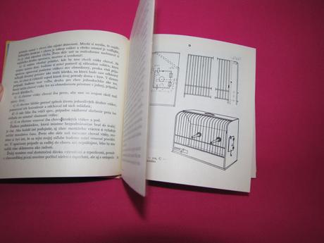 Chov exotického vtáctva, 