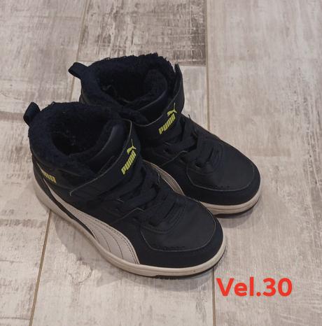 Zimné puma, puma,30