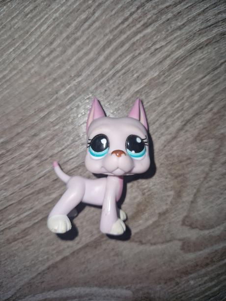 Lps ruzova doga 1022,