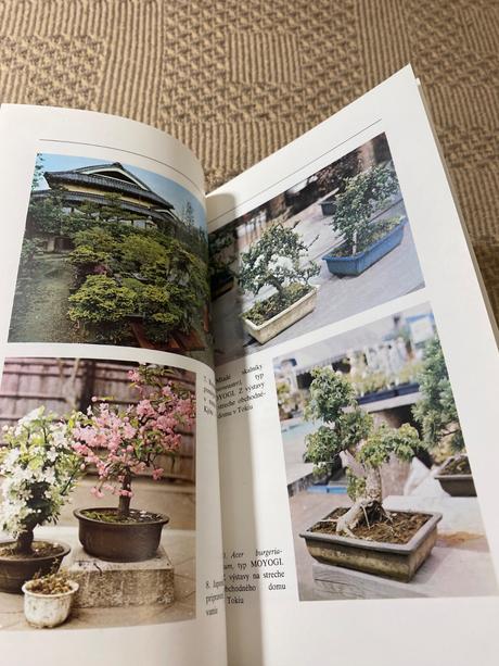 Miloslav ryšán  bonsaj, 