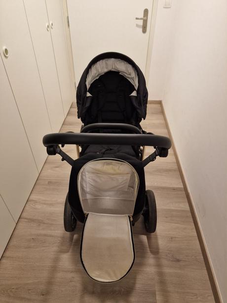 Kocik jasmine camino po jednom dietati, jasmine,jasmine camino