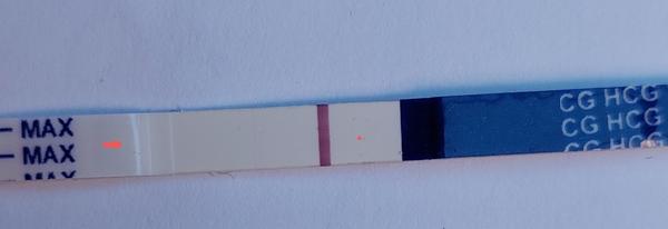 Tehotenský test Rapiclear