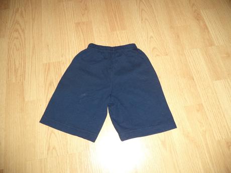 110 kraťasy japitex go, japitex,110