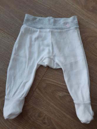 Polodupačky vertini, 56