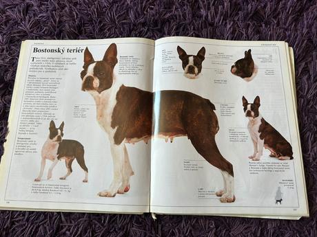 Veľká kniha o psoch,