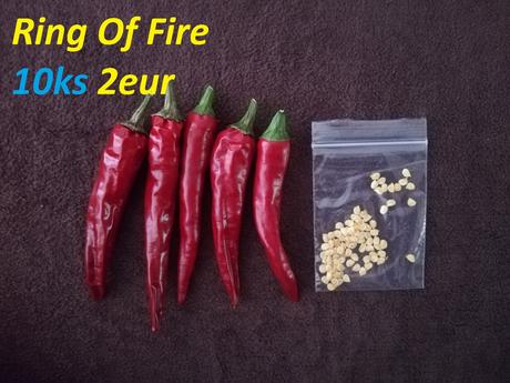 Semená čili/chilli papričiek, 