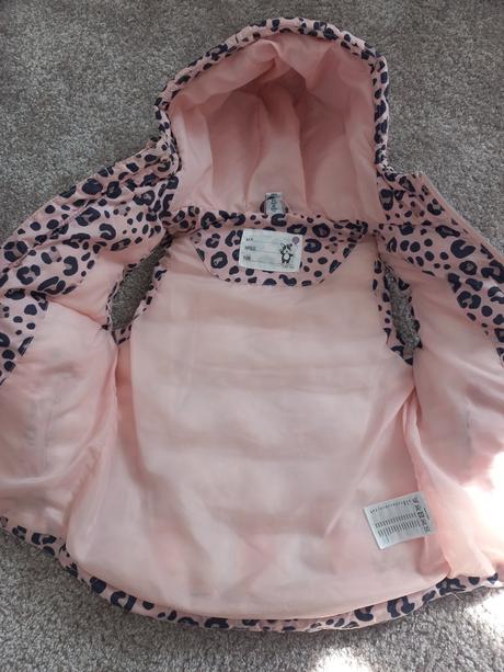 Hrubsia vesta, dopodopo, 122, dopodopo,122