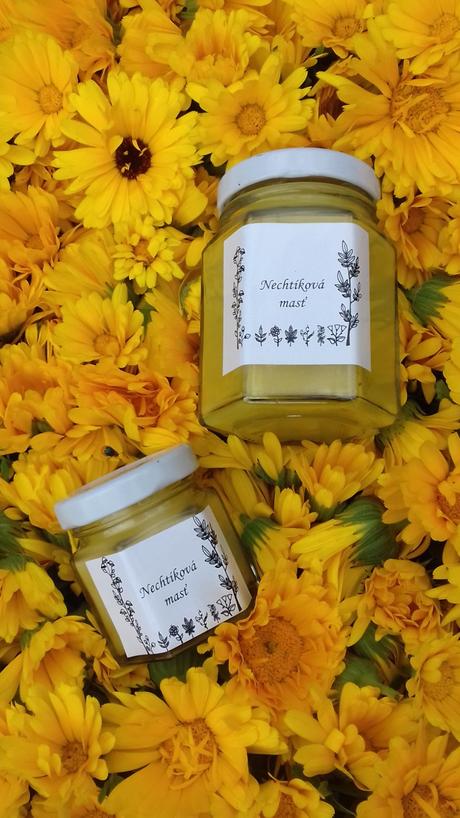 Nechtíkova mastička, 