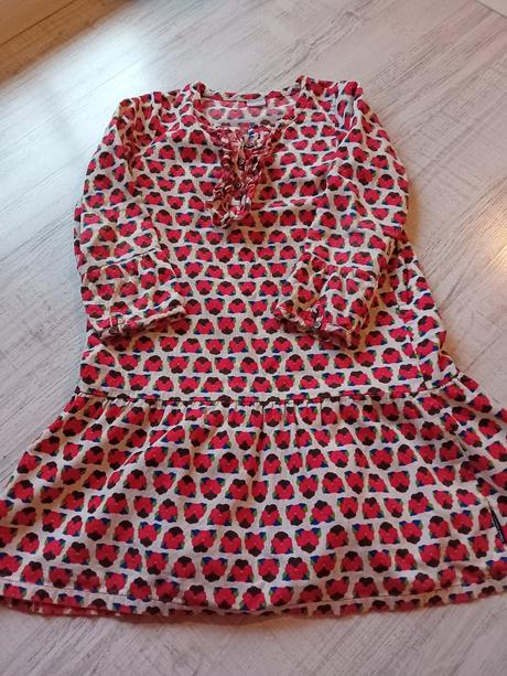 Saty polarn o pyret, 110