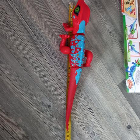 Robo alive jašterica, 