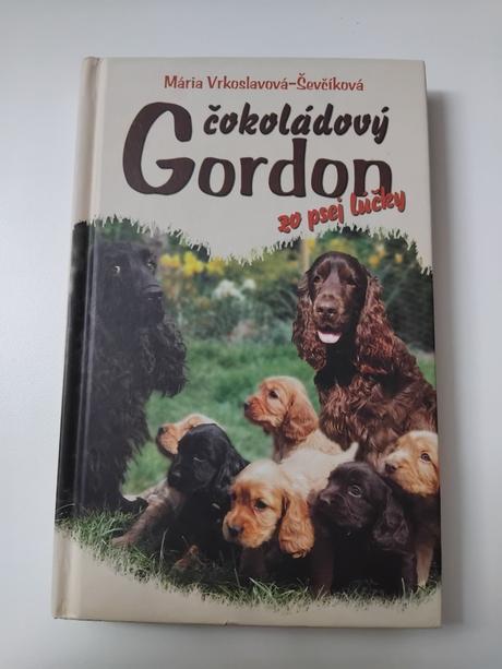 Čokoladovy gordon zo psej lúčky,