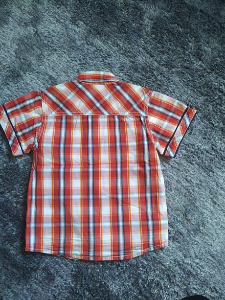 C&a kosele, palomino,110