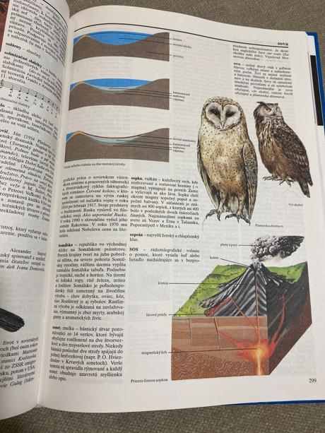 Veľký školský lexikón slovenské pedagogické nakl, 