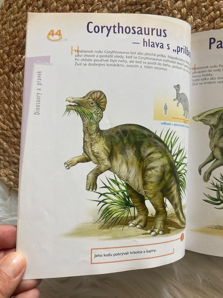 Ilustrovaná encyklopédia dinosaurov a praveku,