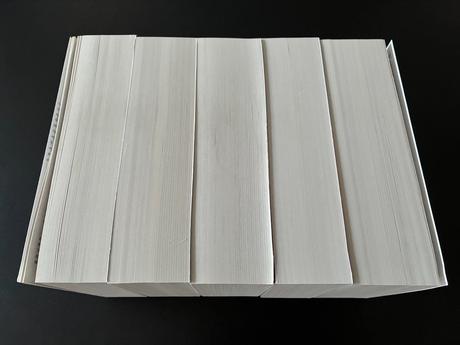 George r.r. martin a song of ice and fire, 