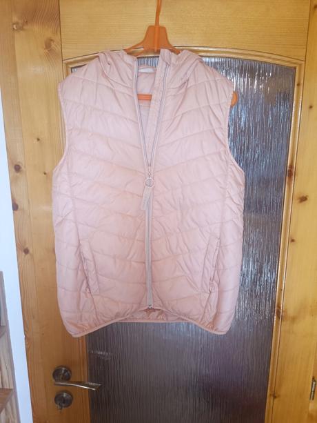 Vesta, coccodrillo,164