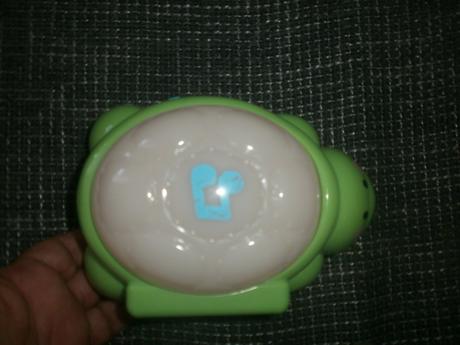 Svietacia korytnacka,