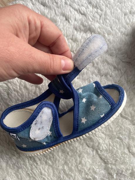 Modre hviezdickove papucky rak, rak,23