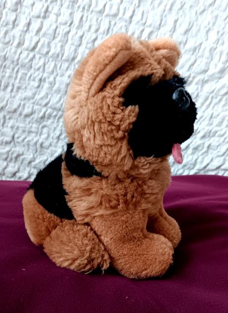 Menší plyšák havko, 