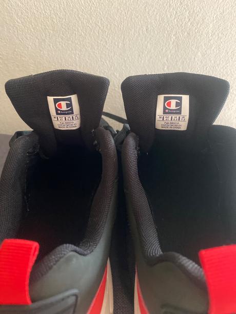 Botasky, champion,41