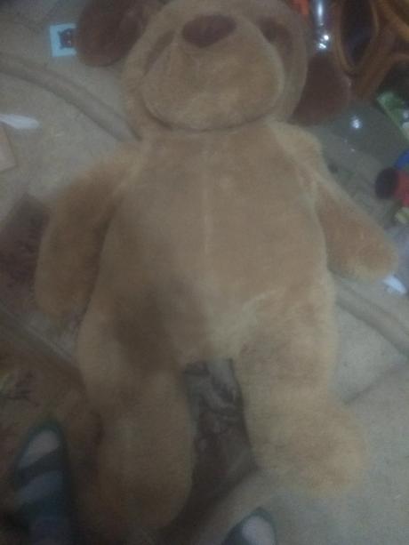 Plyšový medveď, 