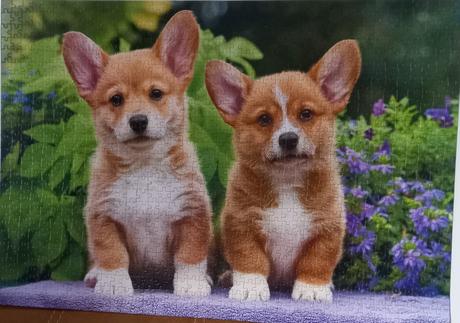 Puzzle 1000 dielikov, 