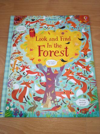 Look and find in the forest nmay21, 