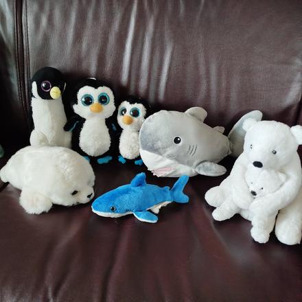 Zvieratá zo severného aj južného pólu, 