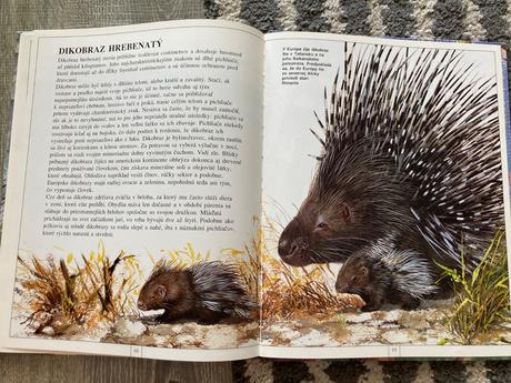 Zvieratá európy-prvé vyd.1997, 