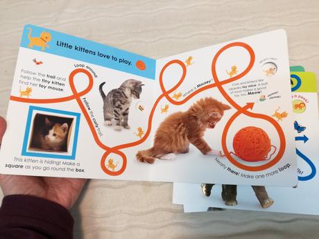 Follow the trail leporela nau20,