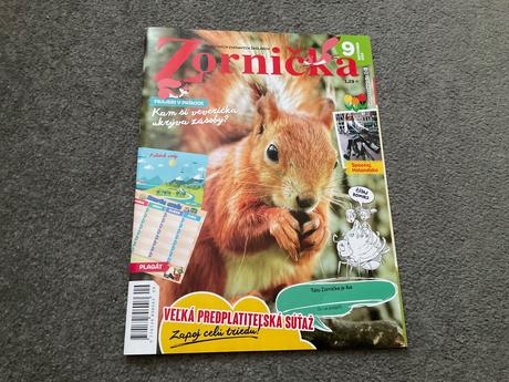 Zornicka, 