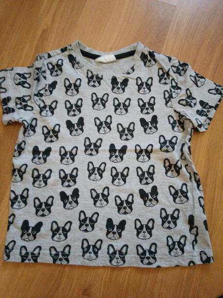 Tričko, coccodrillo,110