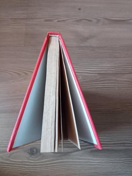 Lucy maud montgomeryová - annin vysnívaný domov, 