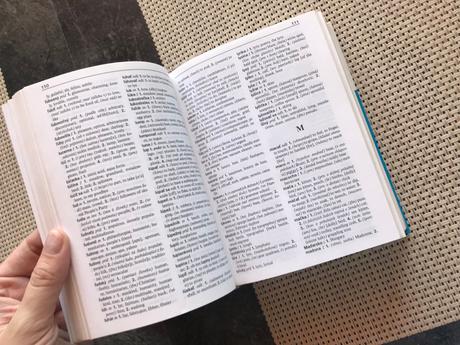 Hruby anglicko slovensky slovnik, 