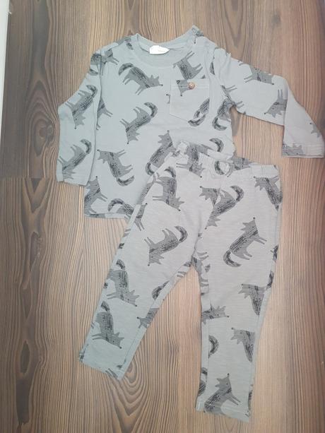 Suprava, coccodrillo,92