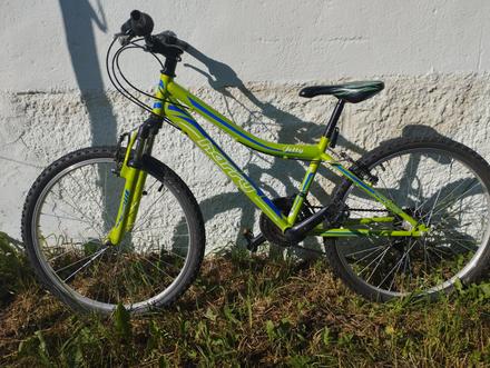 Bicykel 24, harry,24